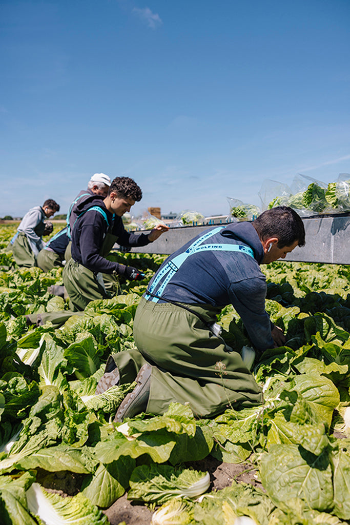 TUINBROEK MET VERSTEVIGDE KNIESTUKKEN